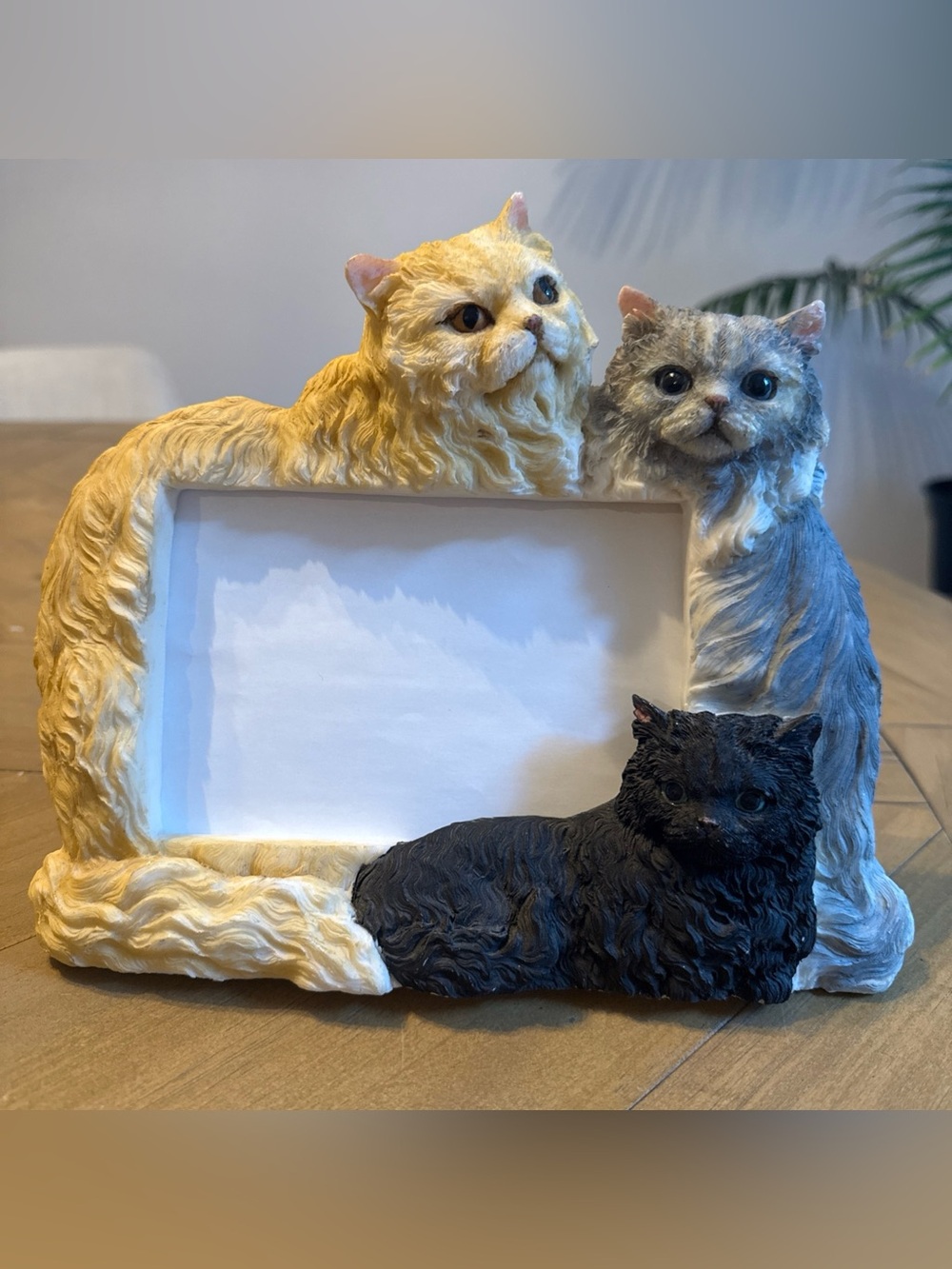 Persian Cat Photo Frame 4x6